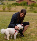 A volunteer pets a dog during her dog walking shift at Greenhill Humane Society.