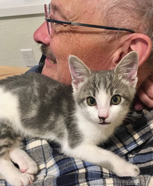 Foster Care Greenhill Humane Society
