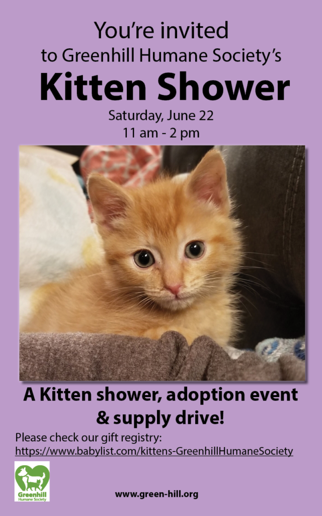 Kitten Shower Adoption Event and Supply Drive Greenhill Humane Society