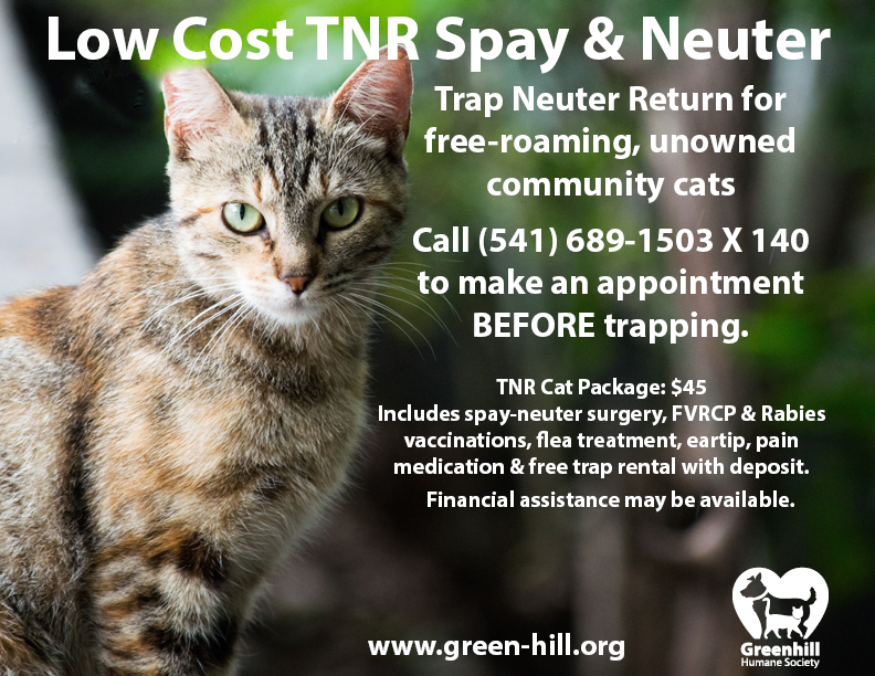 Trap Neuter Return Program Update Greenhill Humane Society