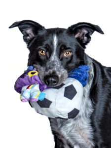 Bubblegum_09282022_Owen_1a