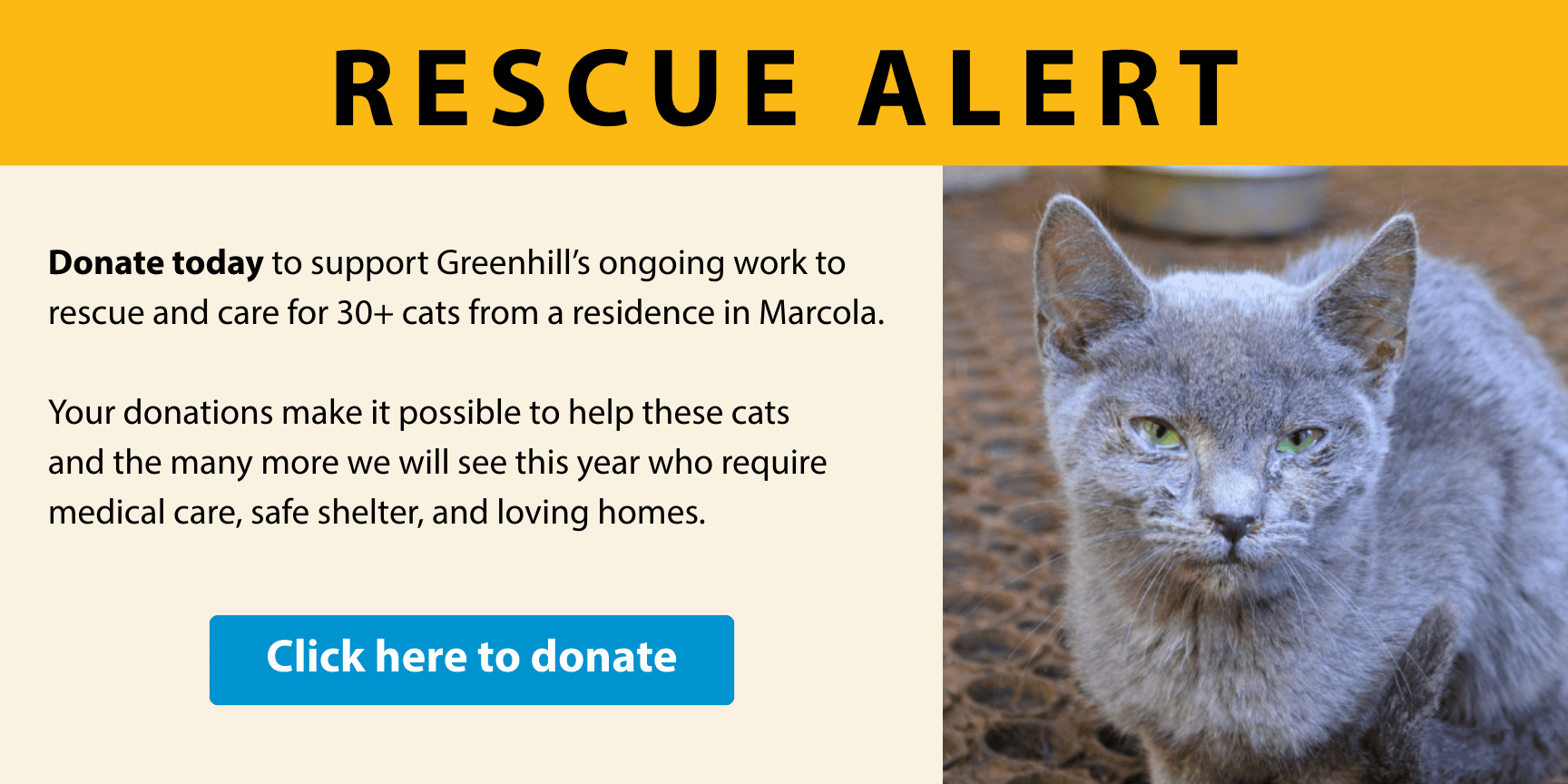 Help Support the Marcola Cat Rescue