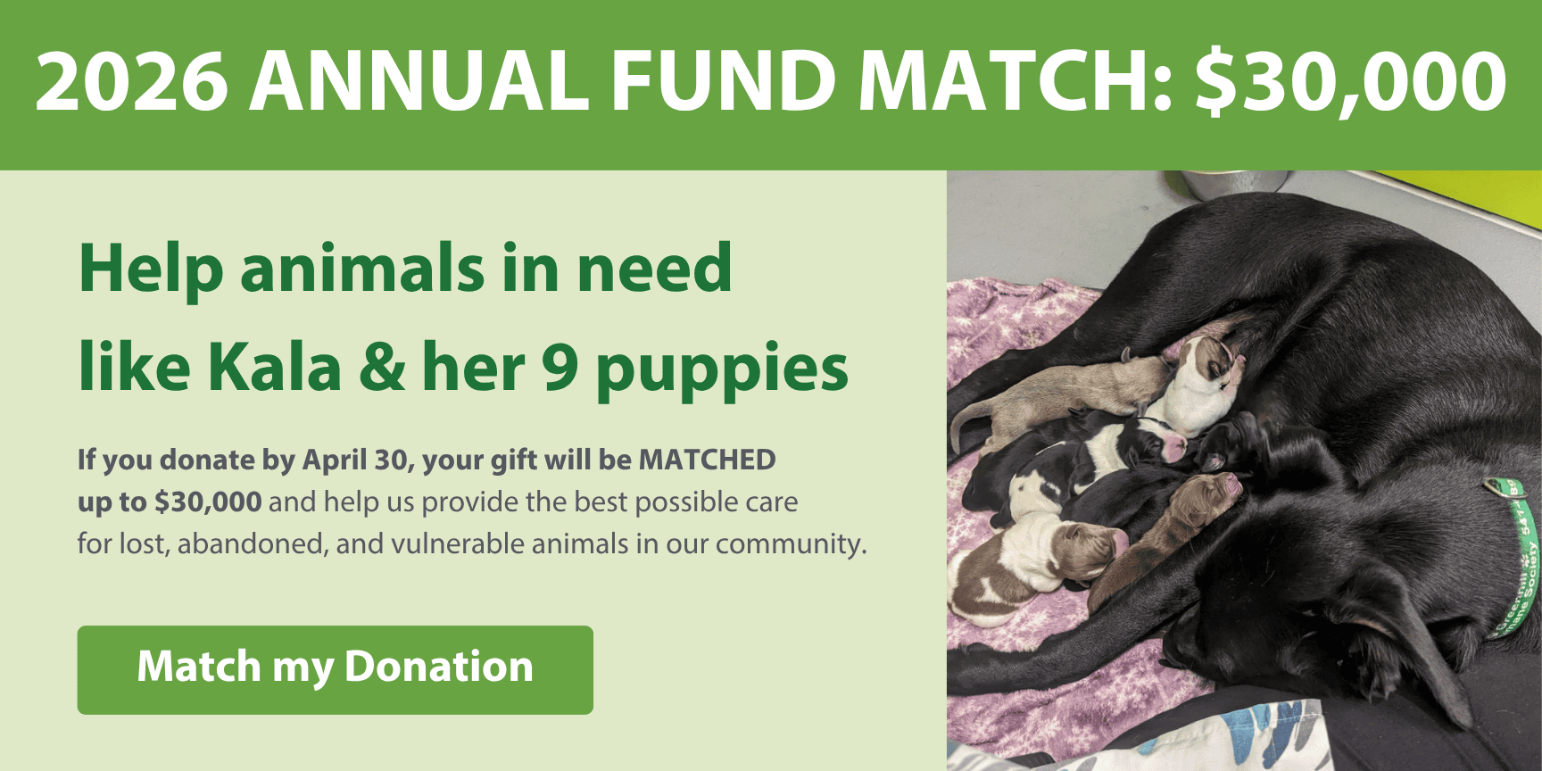 Matching Donation Opportunity
