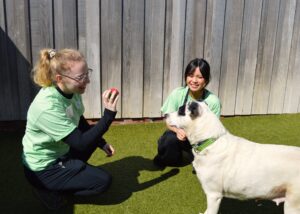 Volunteers with Adoptable Pup Missy 2