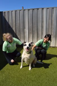 Volunteers with Adoptable Pup Missy