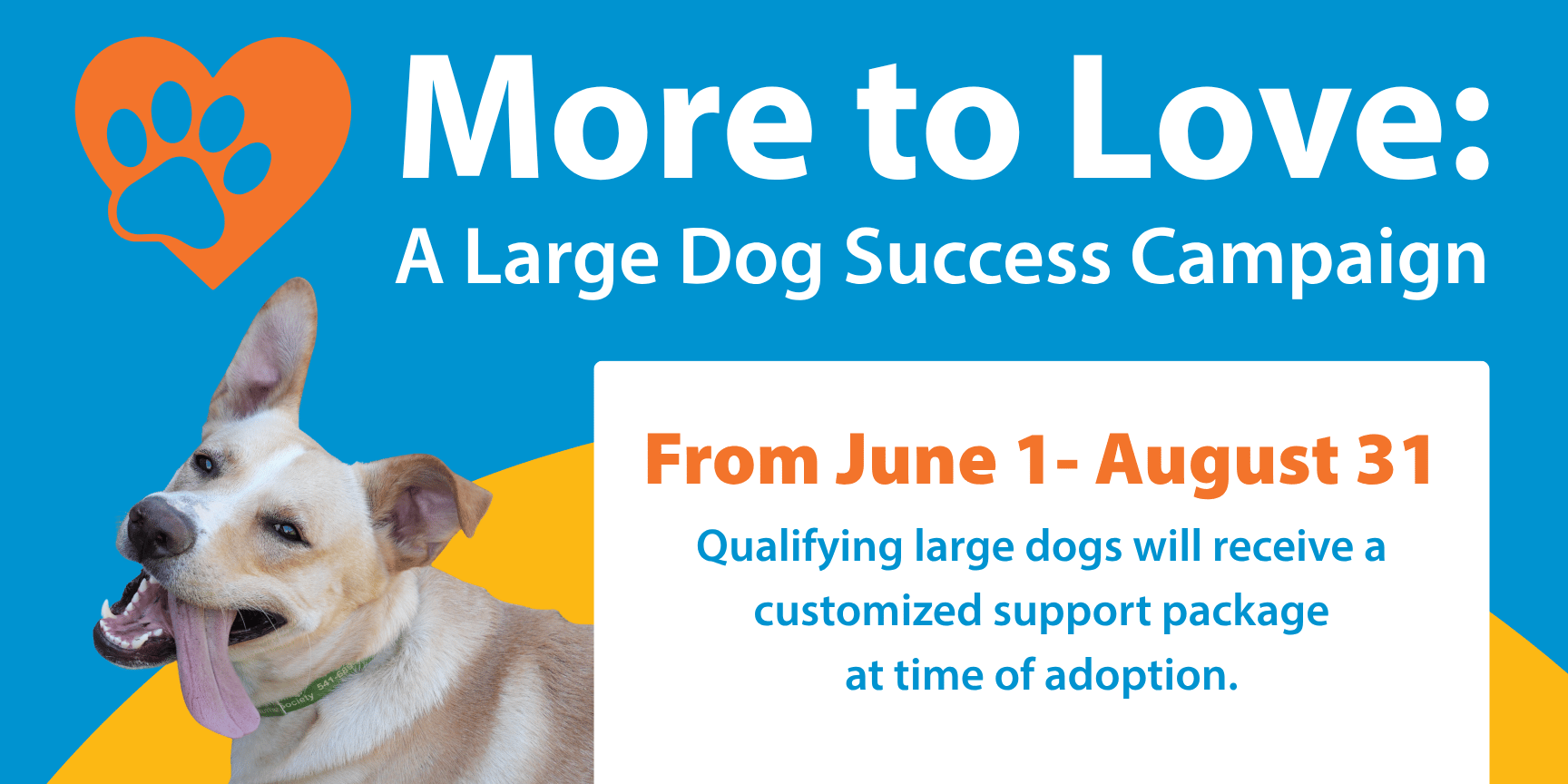 More to love dog adoption promotion.